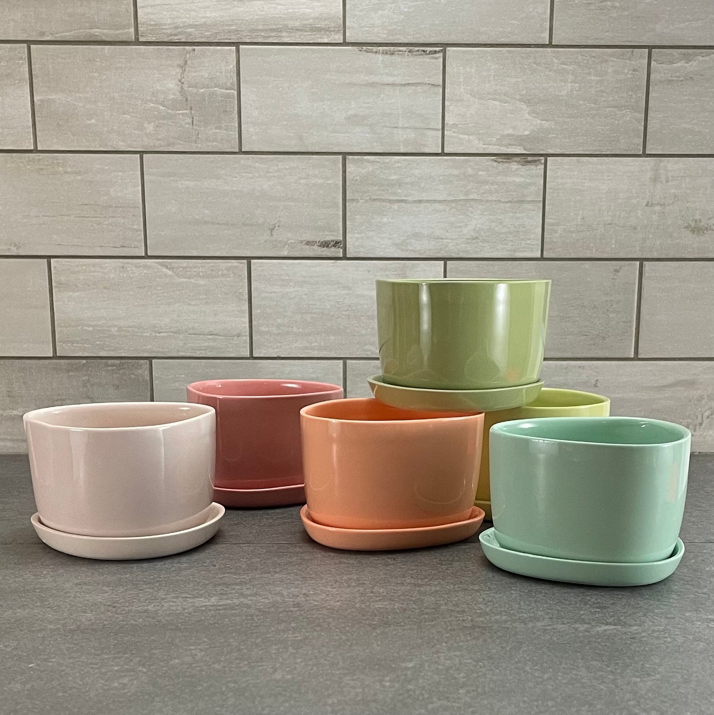 One Color : Planter and Plate