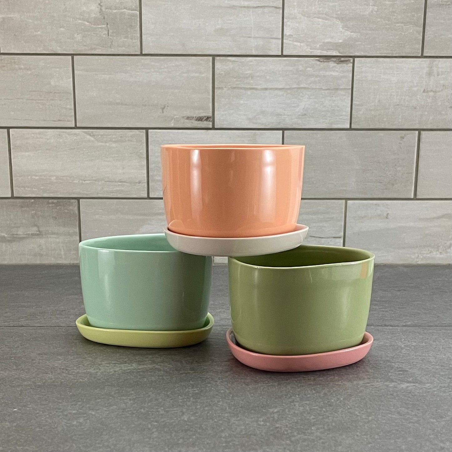 One Color : Planter and Plate