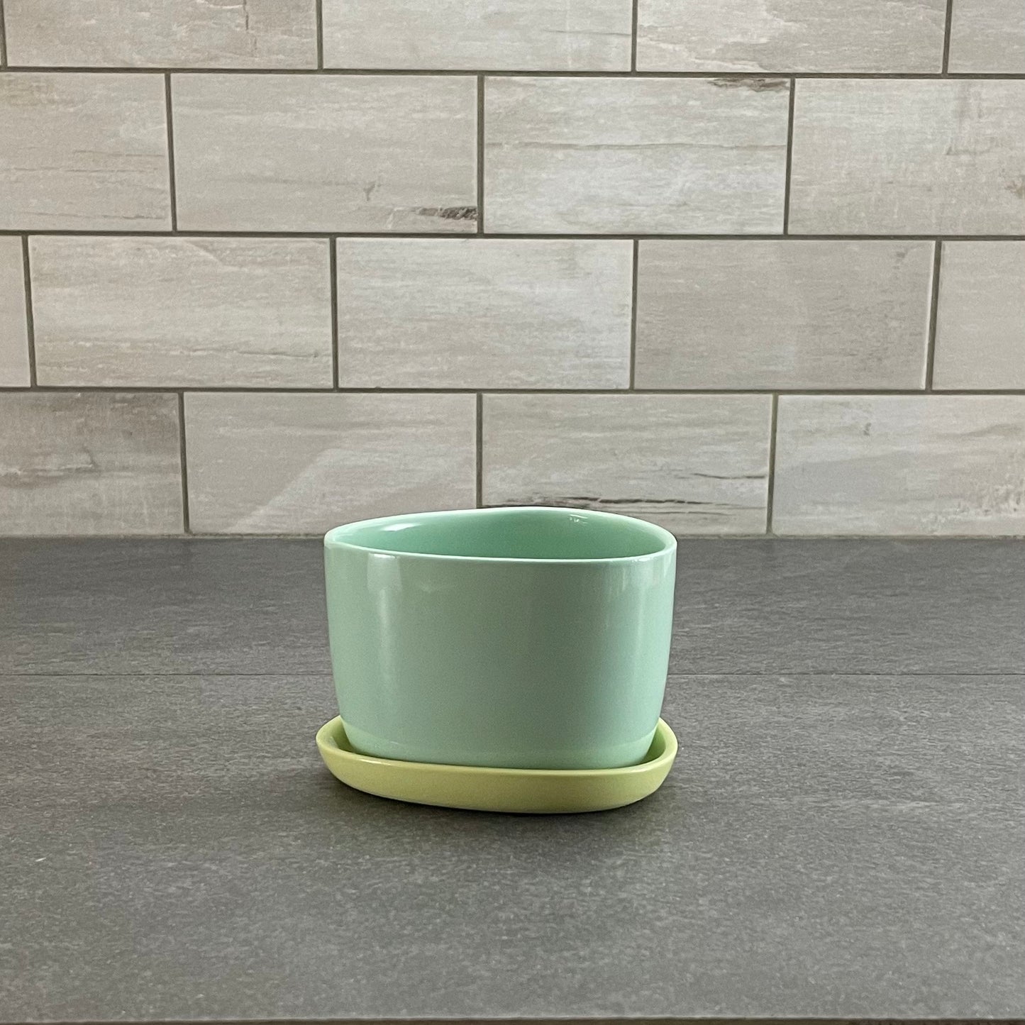 One Color : Planter and Plate