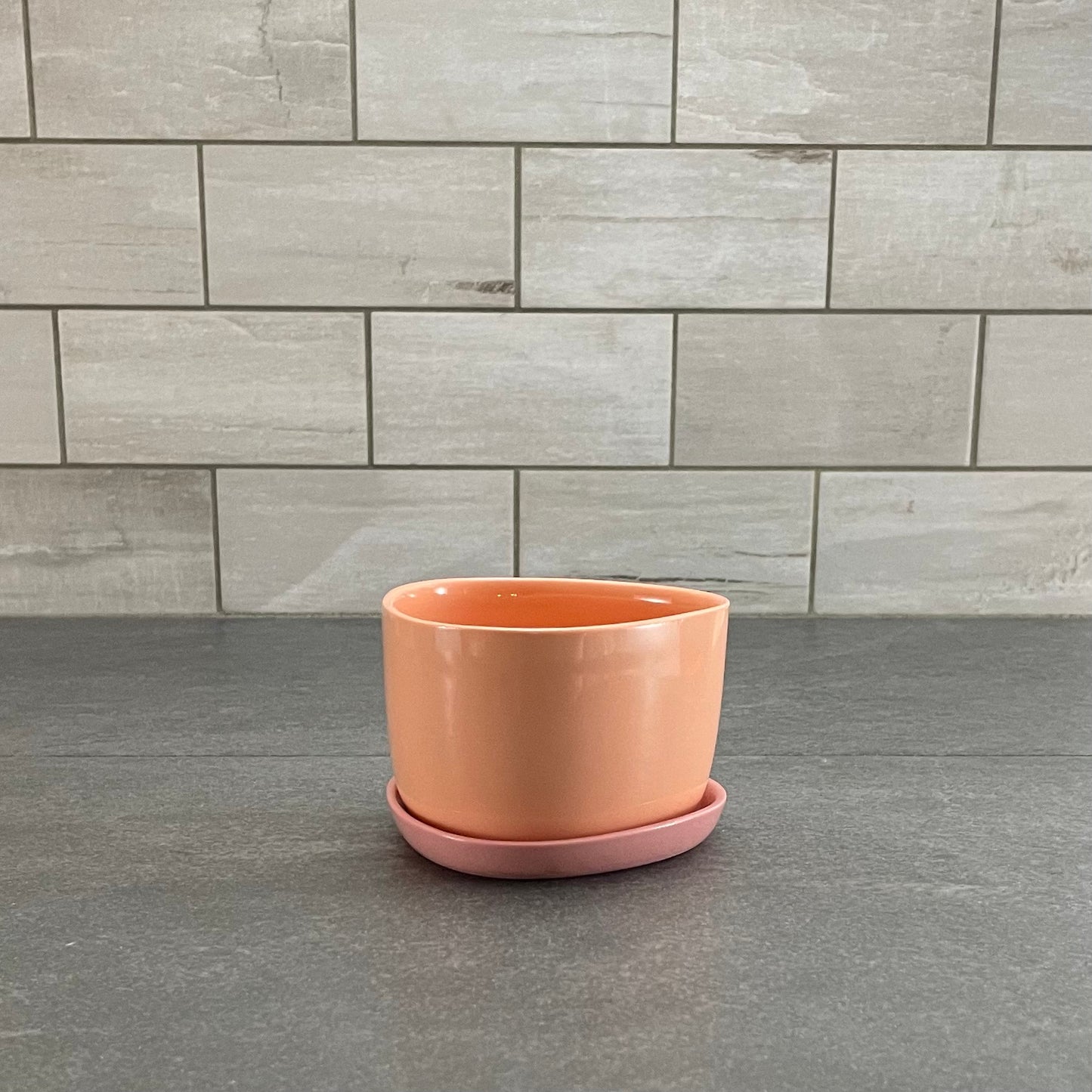 One Color : Planter and Plate