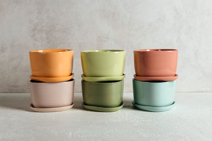 One Color : Planter and Plate