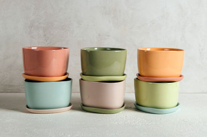 One Color : Planter and Plate