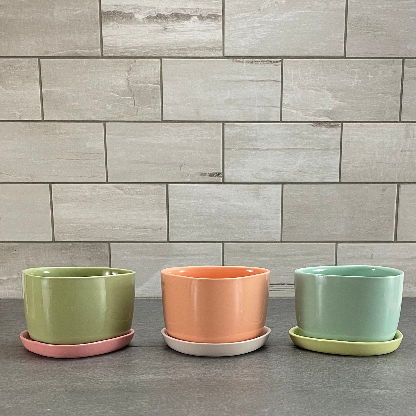 One Color : Planter and Plate