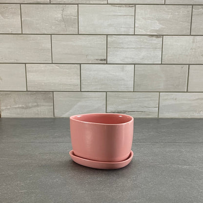 One Color : Planter and Plate