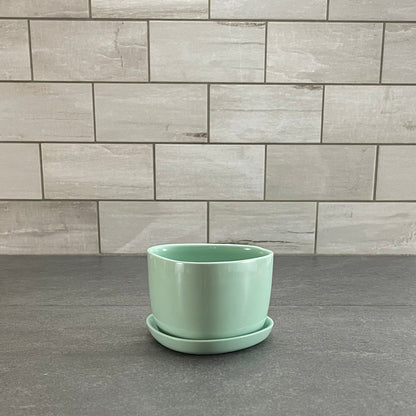 One Color : Planter and Plate