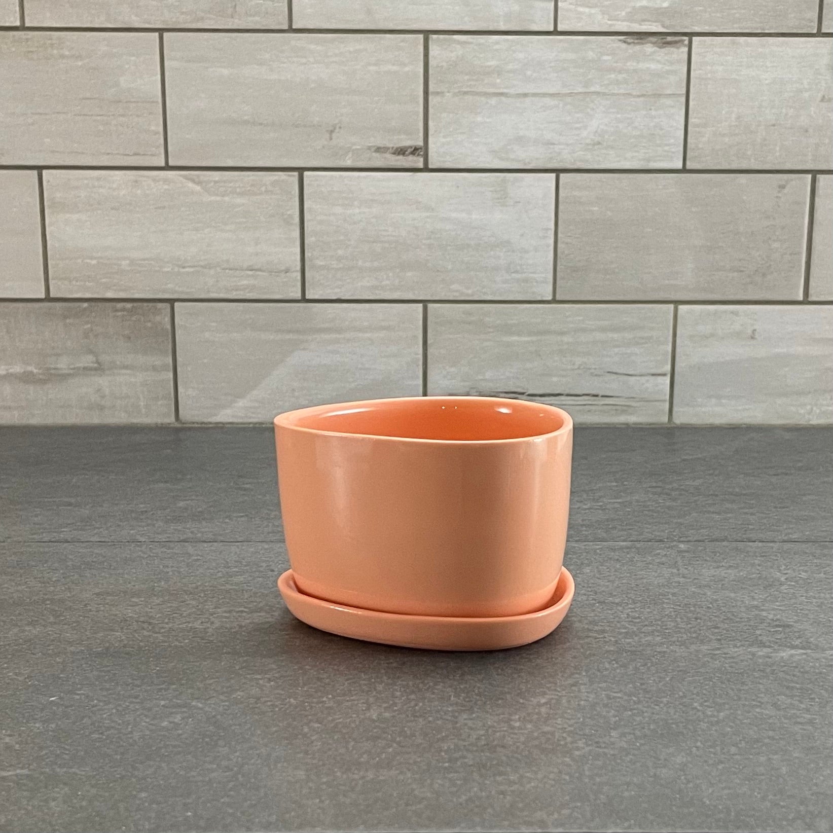 One Color : Planter and Plate Orange / Orange